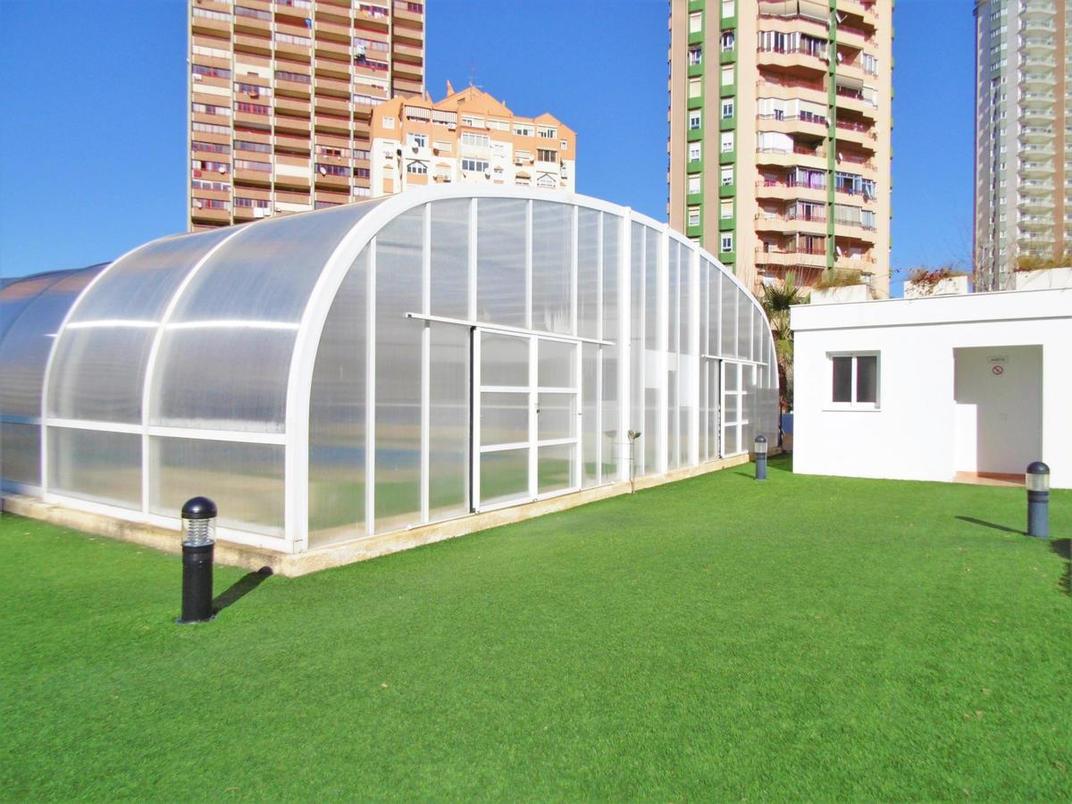Gemelos 26-6-E Daire Benidorm Dış mekan fotoğraf