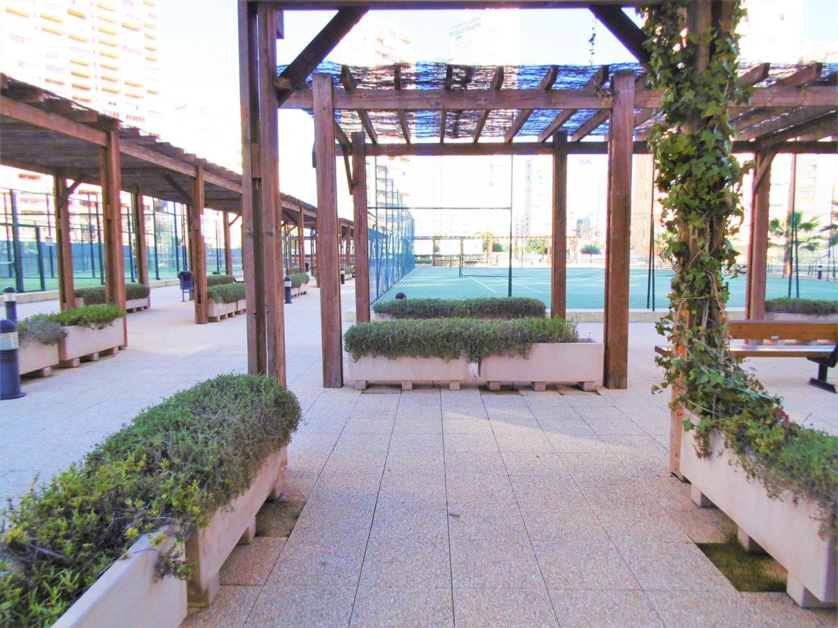 Gemelos 26-6-E Daire Benidorm Dış mekan fotoğraf